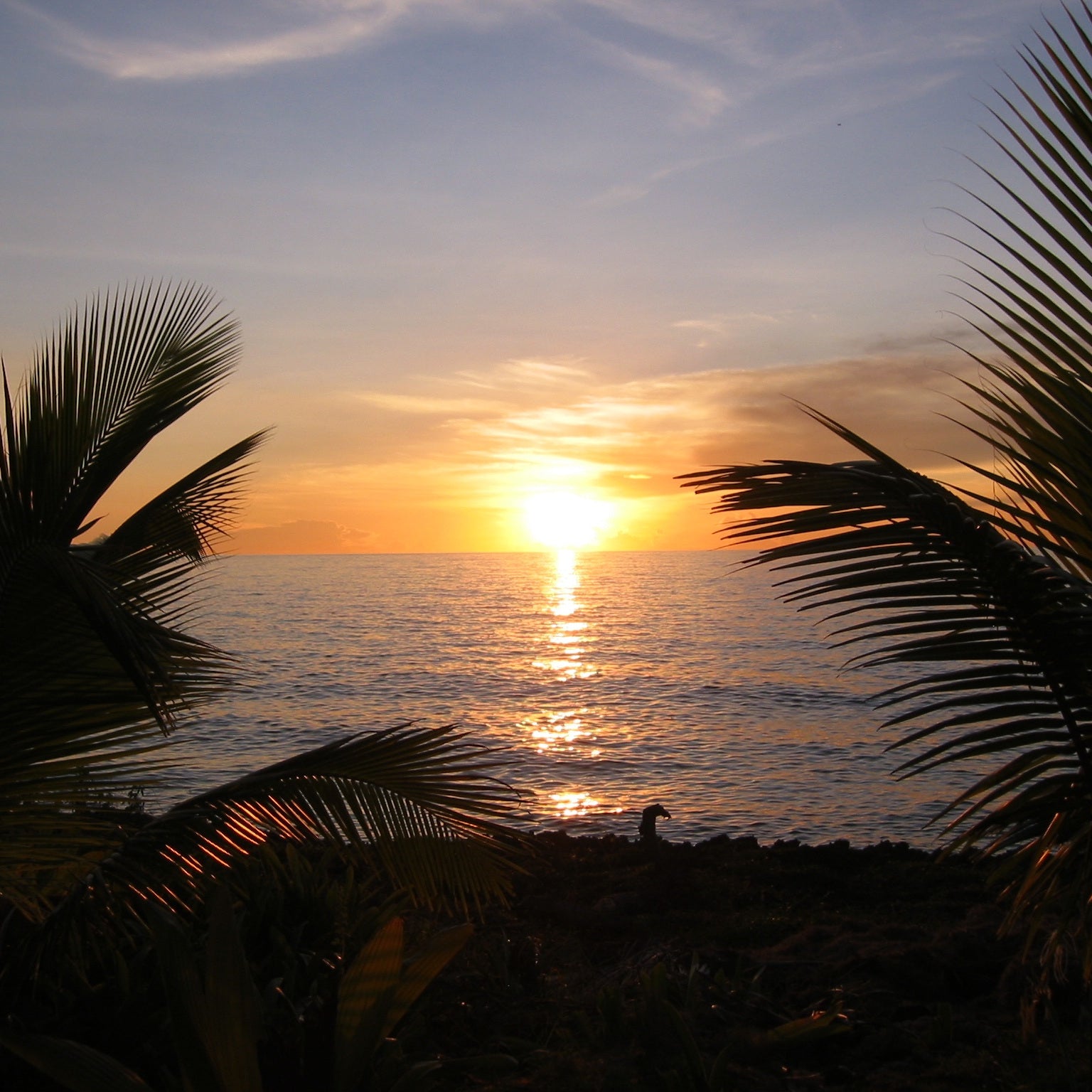 Central America and the Caribbean