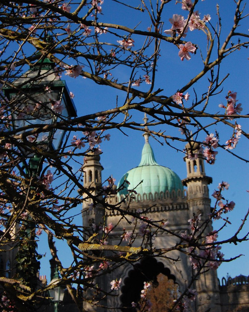 2-Day Brighton Best-of Walks & Activities