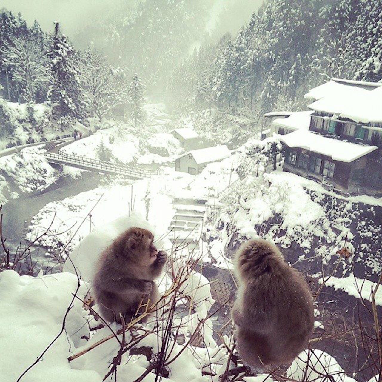 Nozawa Onsen's Winter Secrets - A 3-Day Tour