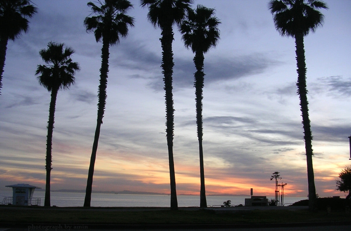 Orange County 3-Day Budget Itinerary