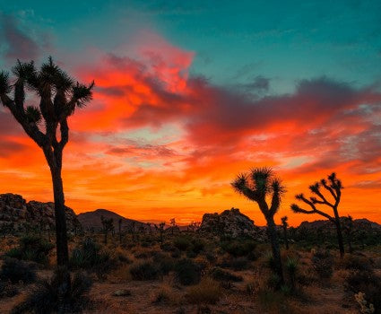 The Best of Phoenix & Scottsdale: 3-Day Itinerary