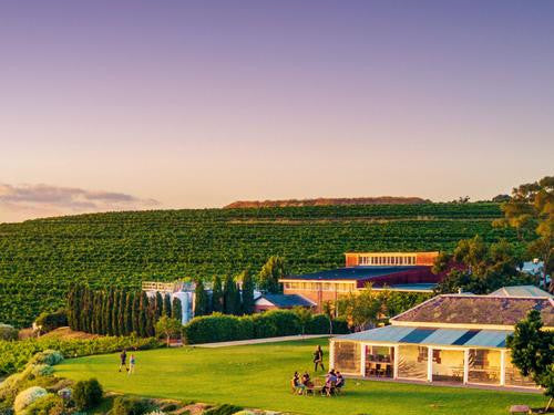 Taste the Day Away in the McLaren Vale Wine Region