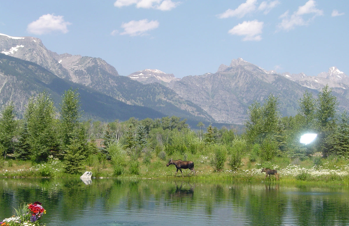 Summer in Jackson Hole: Local Tips for the Perfect Three to Five Day Adventure
