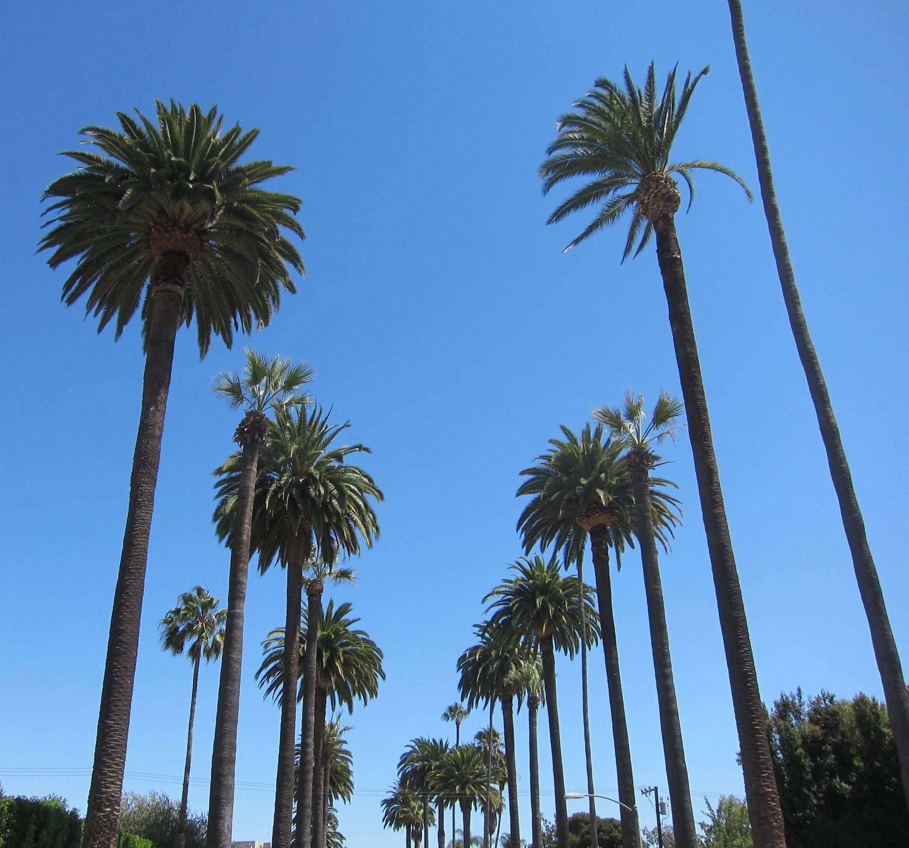 Los Angeles On A Budget - 4-Day Tour Itinerary