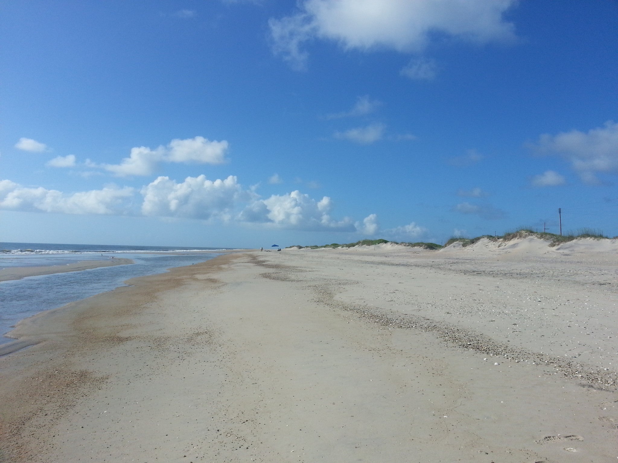 Five Days in the Wild Outer Banks of North Carolina