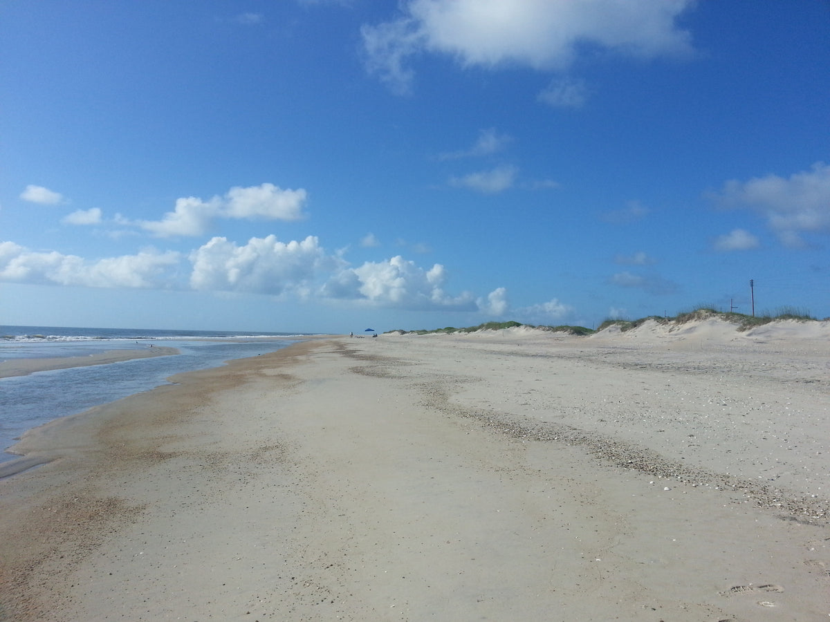 Five Days in the Wild Outer Banks of North Carolina